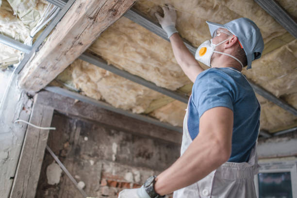 Best Blown-in Insulation in Greenbrier, TN